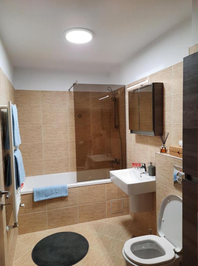 Sorin'S Comfortable Apartment Brasov Exterior photo
