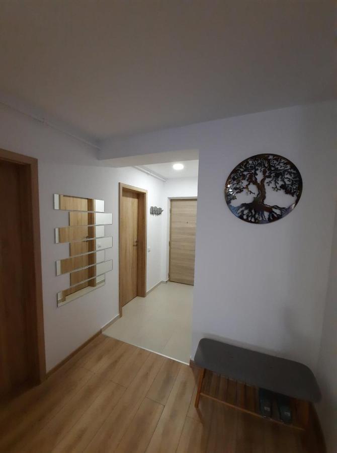 Sorin'S Comfortable Apartment Brasov Exterior photo